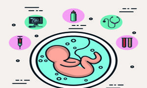 孕期营养补充原则