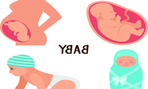 怀孕18周肚子不显怀怎么办